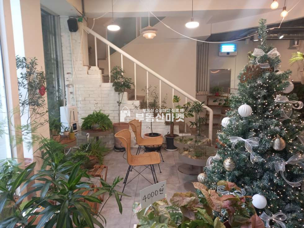 전남광주 남구 봉선동 봉선동 아파트단지로 둘러쌓인 도로변 1~2층 상가 임대!! 월세 매물번호 16515 사진 9