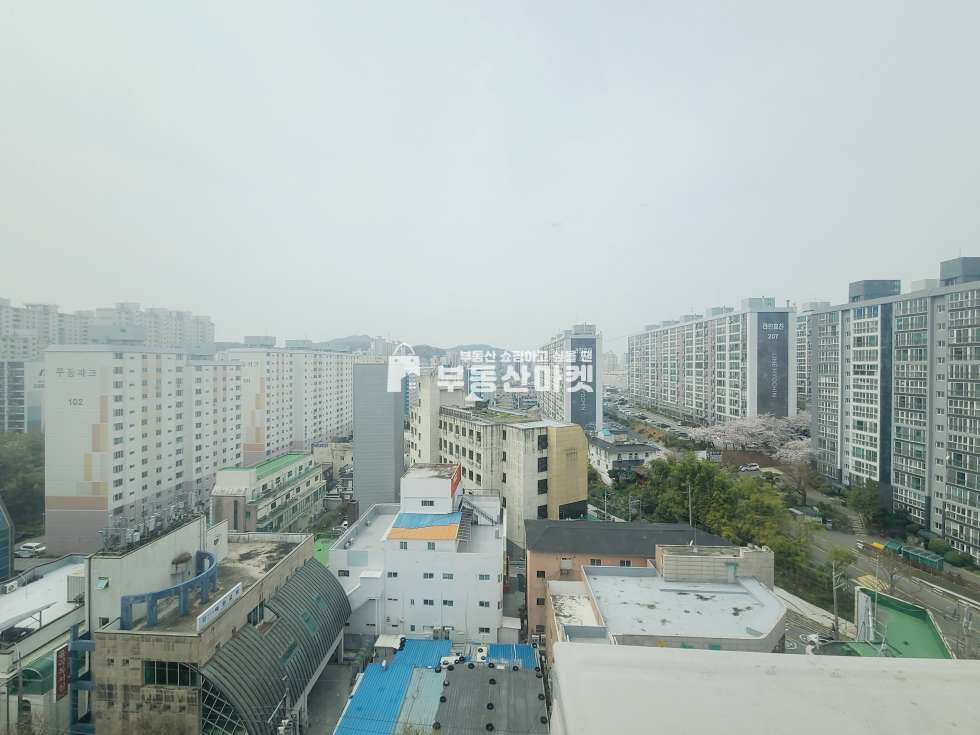 전남광주 남구 봉선2동 <급매> 봉선동 ㅣ 명지아파트ㅣ 올리모델링 완비 매매!! ㅣ 가운데라인 가경좋음!! 매매 매물번호 18274 사진 5
