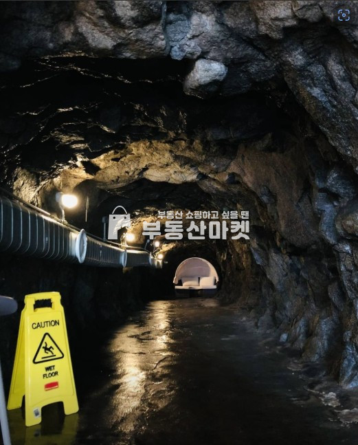 전남광주 남구 양림동 양림동 시설 완벽한 1층 상가 임대!! 월세 매물번호 18435 사진 1